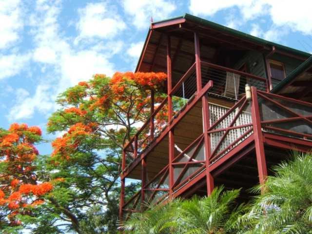 Maleny Tropical Retreat Bed & Breakfast Exterior photo