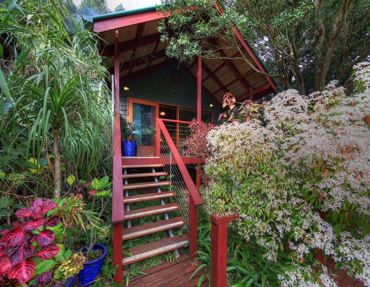Maleny Tropical Retreat Bed & Breakfast Exterior photo