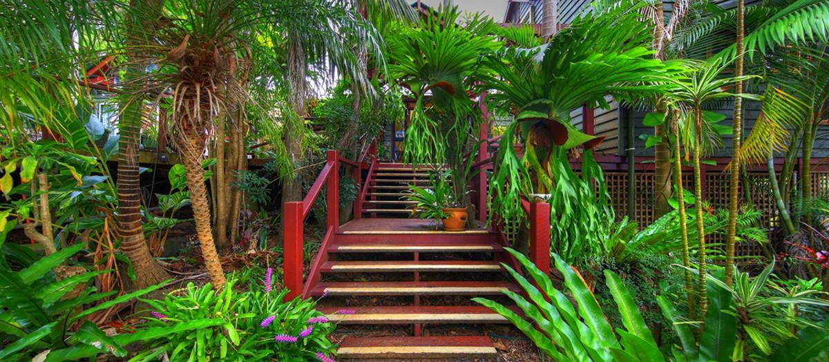 Maleny Tropical Retreat Bed & Breakfast Exterior photo